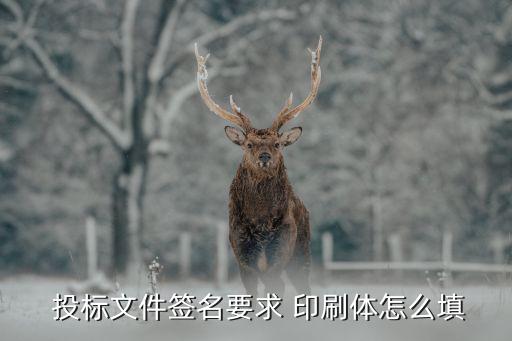 印刷投標書模板,投標書ppt模板...